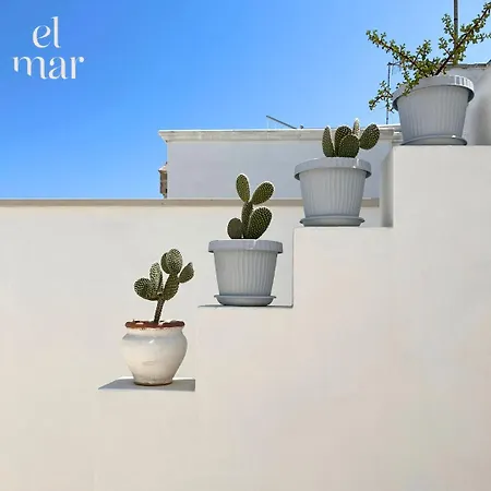 El-mar Locazione Turistica House With Exclusive Terrace *