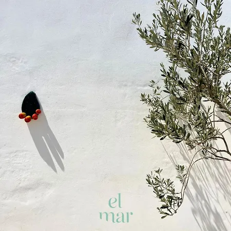 El-mar Locazione Turistica House With Exclusive Terrace Apartment *