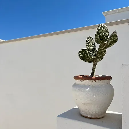 Apartment El-mar Locazione Turistica House With Exclusive Terrace